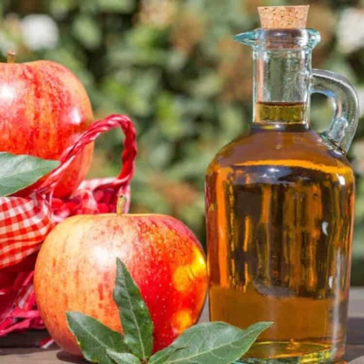 Cách phục hồi tóc khô xơ với giấm táo